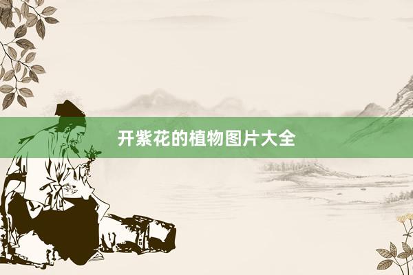 开紫花的植物图片大全